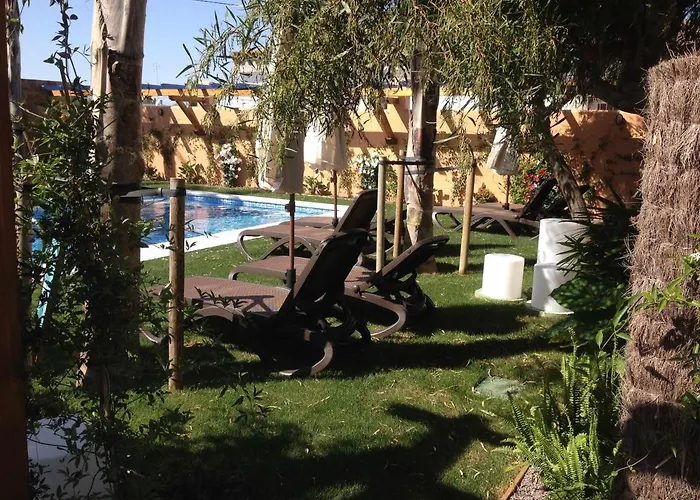 Estudio 11 Ragel Costa Cadiz